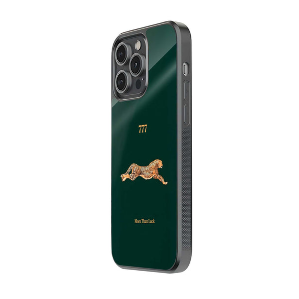 Fortune Chaser Glass Case