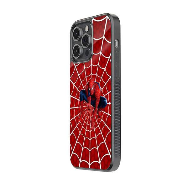 Spider Grid Glass Case