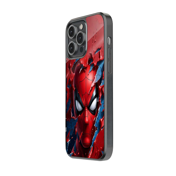 Web Breaker Glass Case