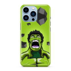 Hulk Hard Back Cover