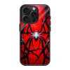 Spider-Man's Web Glass Case
