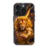 Narasimha Glass Case