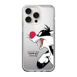 Looney Tunes Clear Case
