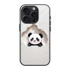 Panda Pop Glass Case